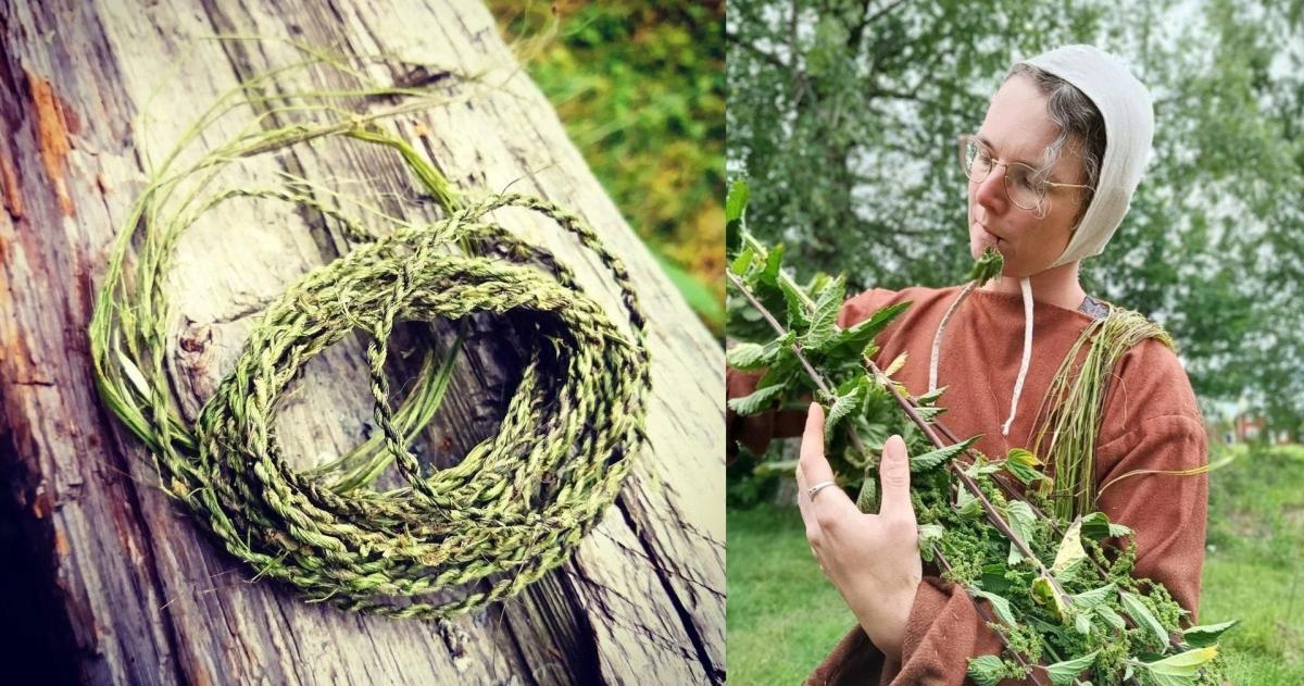Kurs i historisk användning av brännässlor