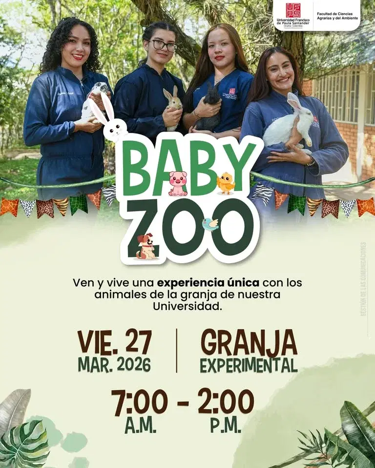Baby Zoo