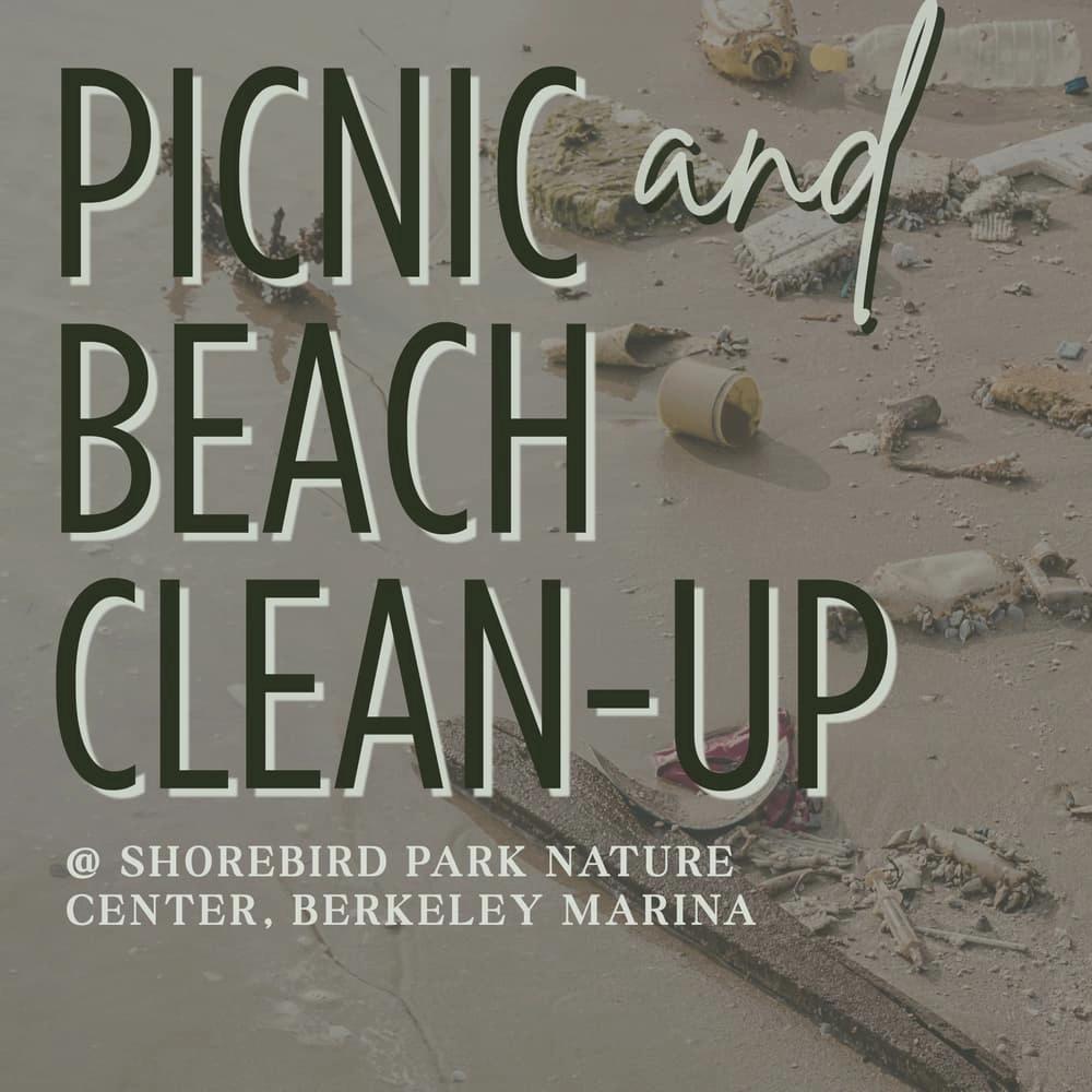 MSA Marina Cleanup & Picnic