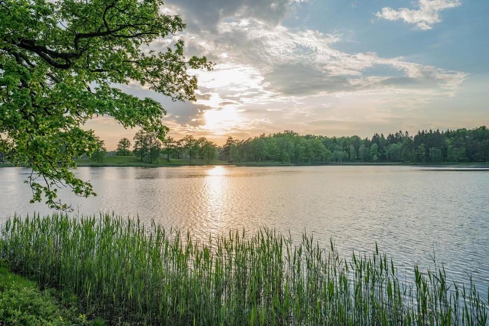 Gudstjänst i sommarnatten