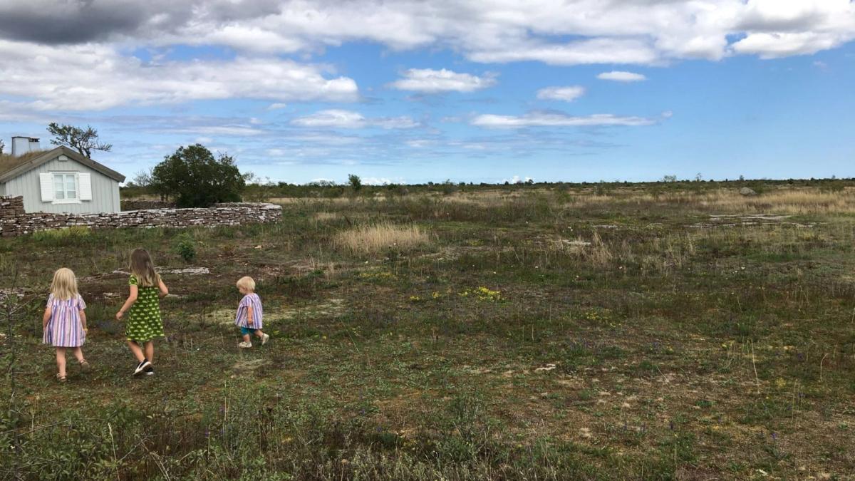 Matvandring med öländska smaker i världsarvet