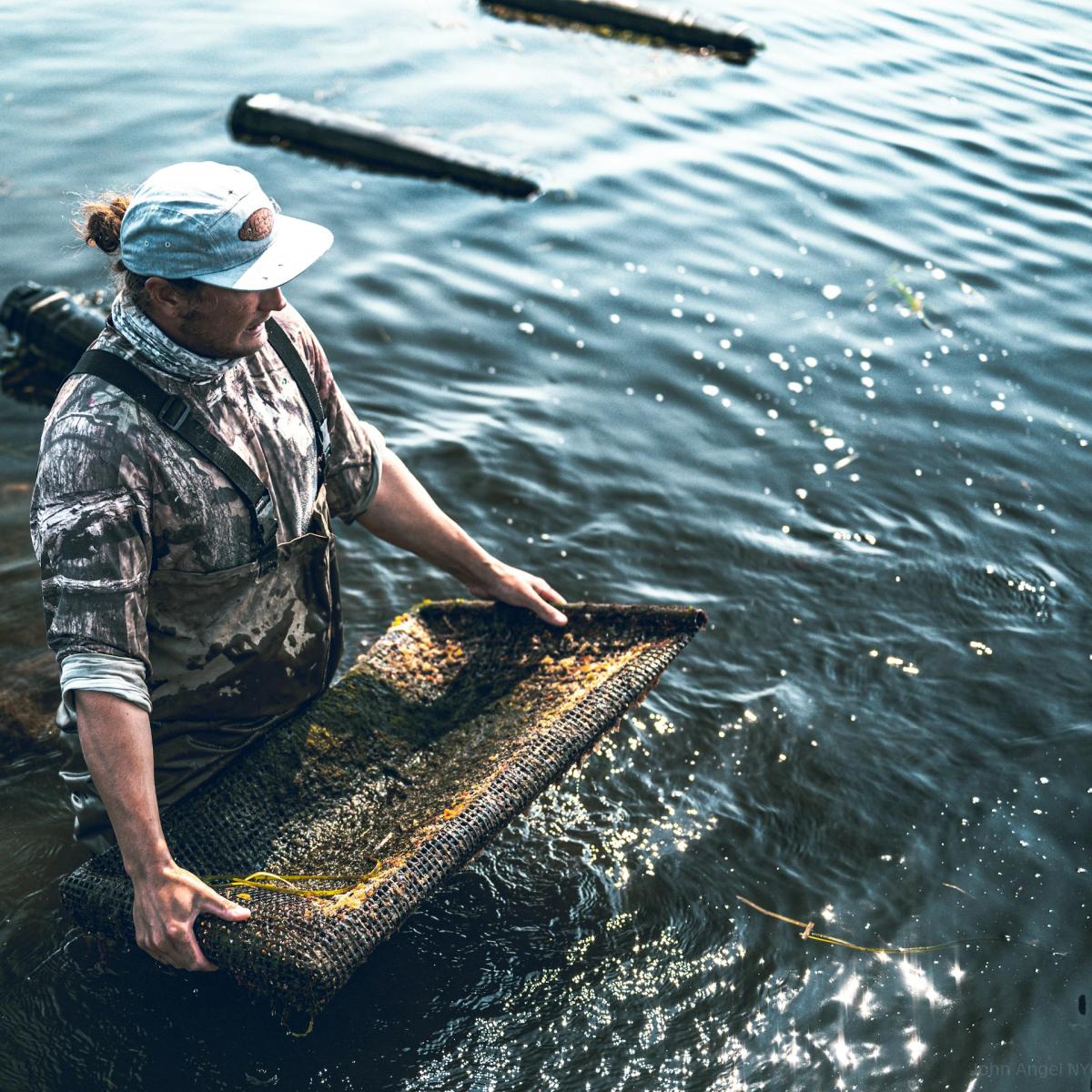 Volunteering Untapped NYC: Billion Oyster Project (June Event)