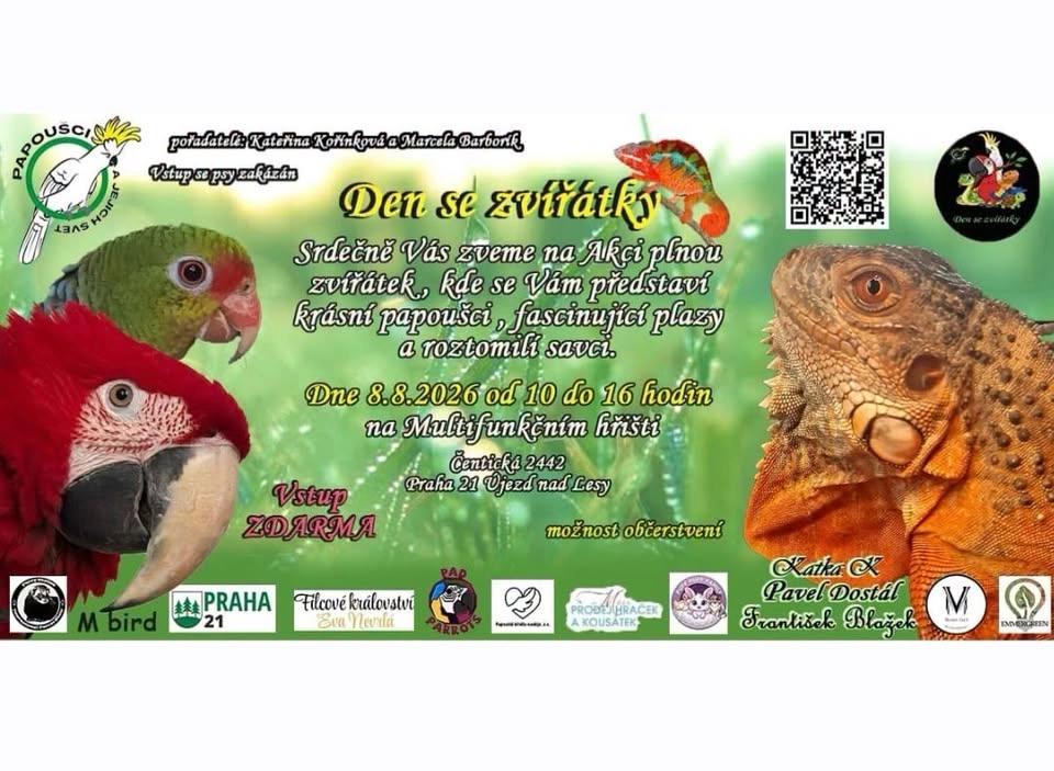 Den se zvířátky 🦜🐸🦇🪱🦖🐢🐍🦎🦀