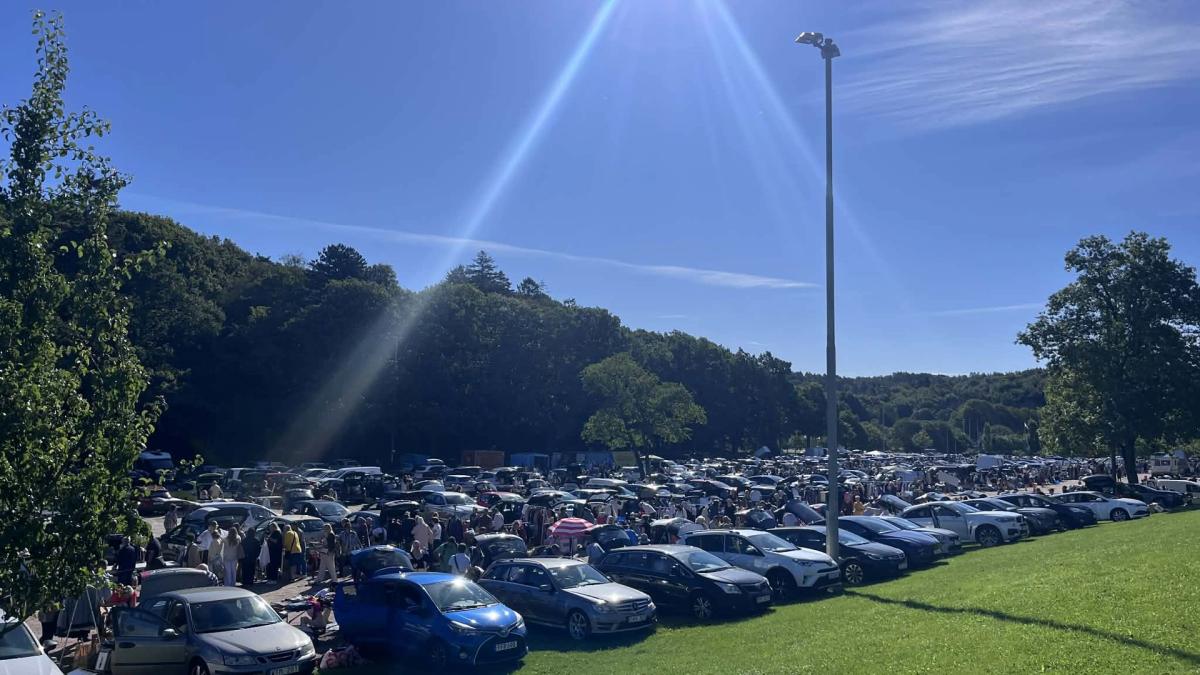 Bakluckeloppisen vid Slottsskogen