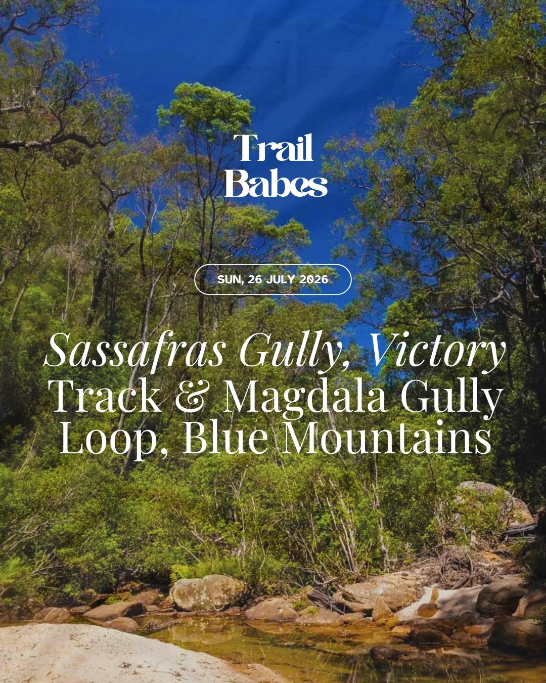 Sassafras Gully, Victory Track, and Magdala Gully Loop, Blue Mountains