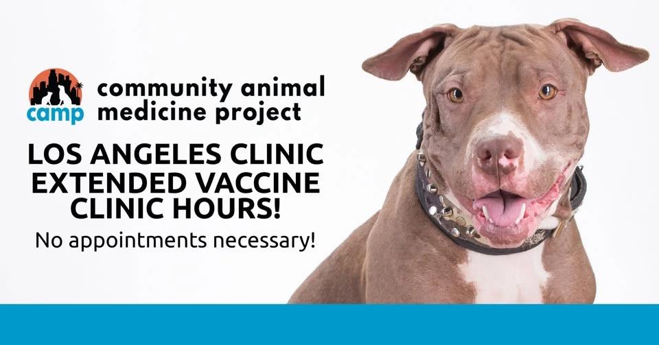 QUICK VACCINES AT CAMP MOBILE!