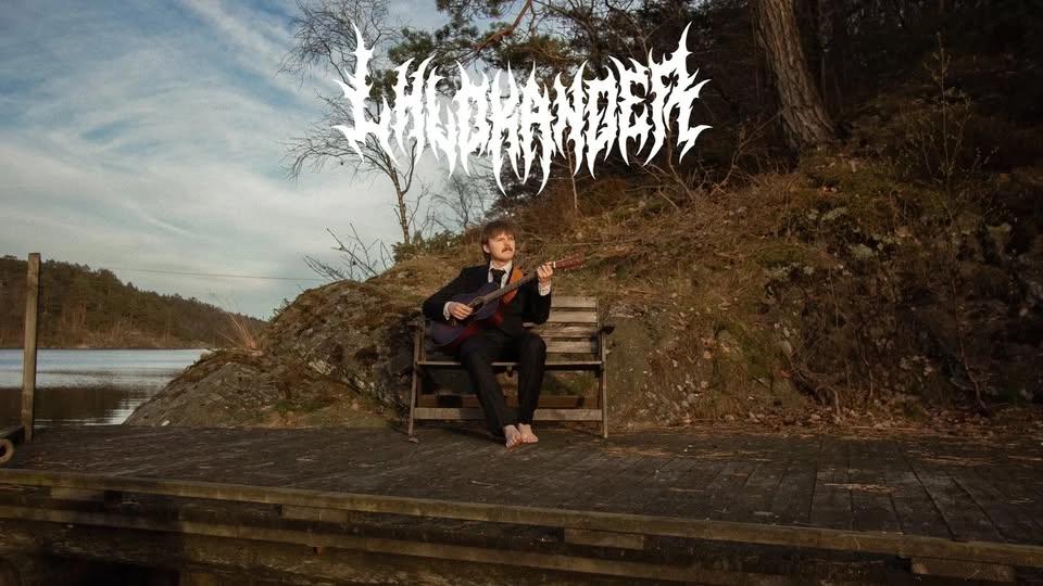 lh lokander // Antikvariatet