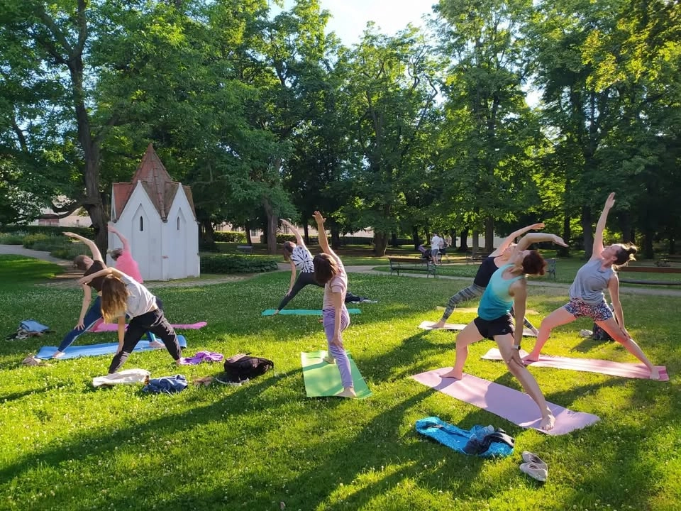 Vinyasa Yoga in the Park