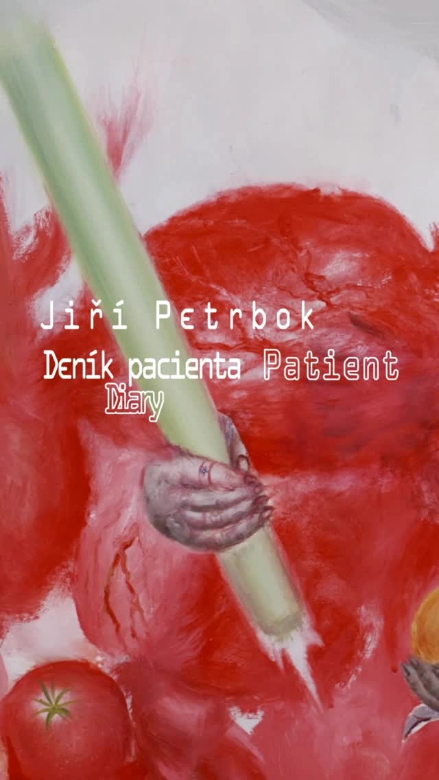 Deník pacienta / Patient Diary