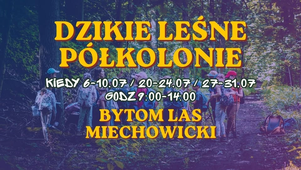 LEŚNE PÓŁKOLONIE W BYTOMIU / Lipiec 2026 / godz 9:00-14:00