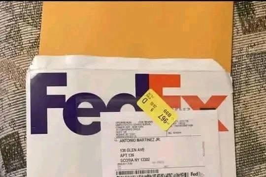 I’m Milana Vayntrub from FedEx company
