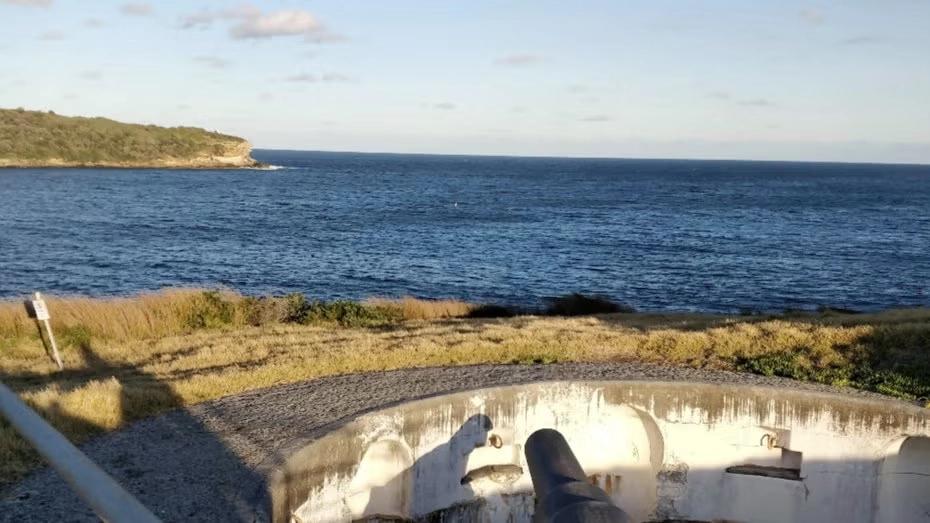 (Express of interests) La Perouse Coastal Hike🌊🏃🏃♀️+Whale Watch🐳🐋👀