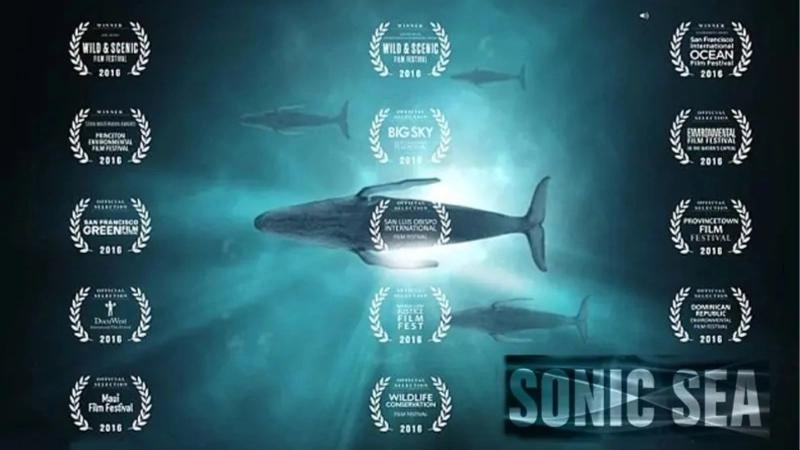 Final film screening: Sonic Sea