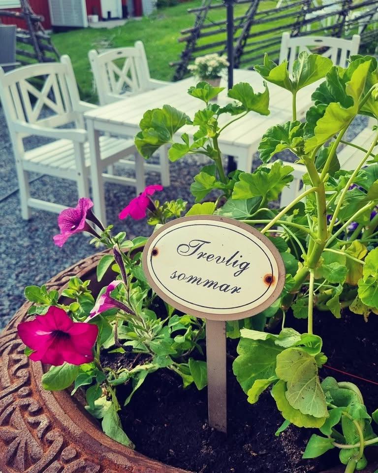 Sommarcafe på Jössgården