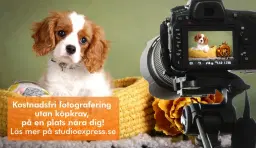 Arken Zoo Uppsala Gränbystaden - Kostnadsfri djur-, barn- och familjefotografering