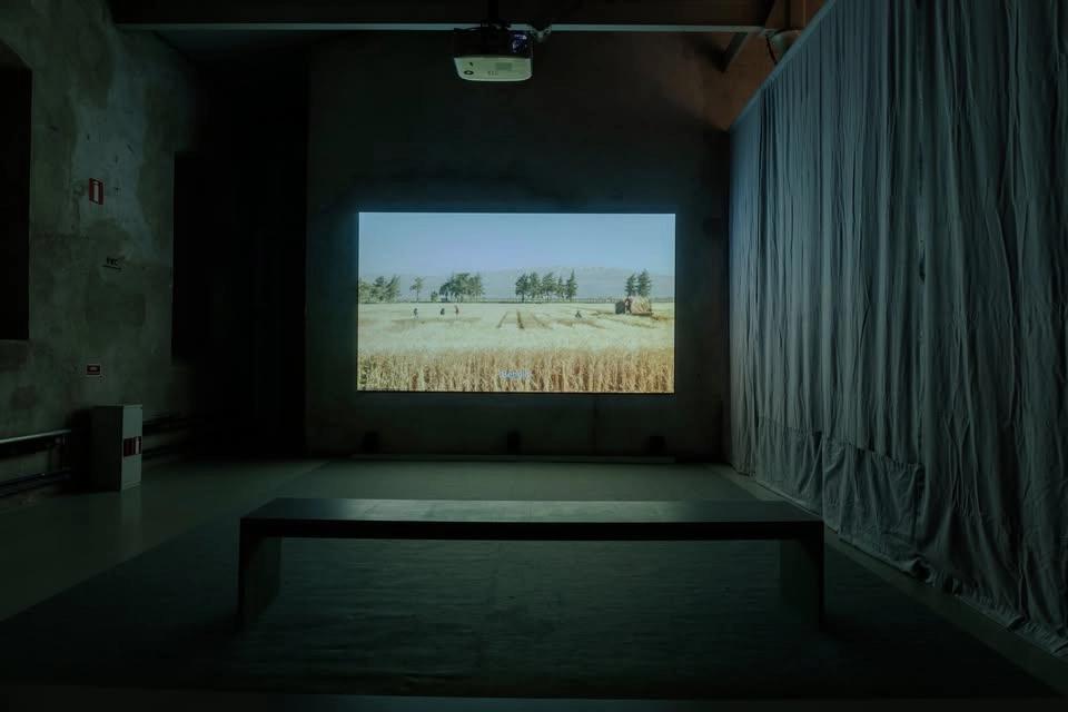 FÄRGFABRIKEN FILMVISNING: Wild Relatives av Jumana Manna