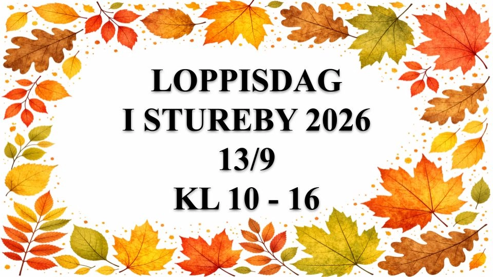 Loppisdag i Stureby 2026