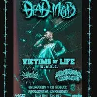 Dead mob, Victims of life + supports