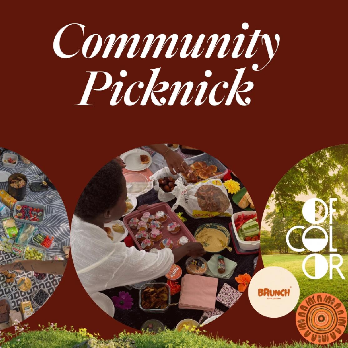 Community Picknick 02.08