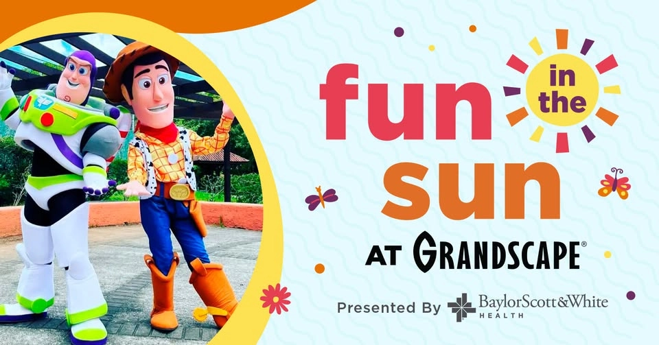 Fun in the Sun: Andy's Toy Box Adventure