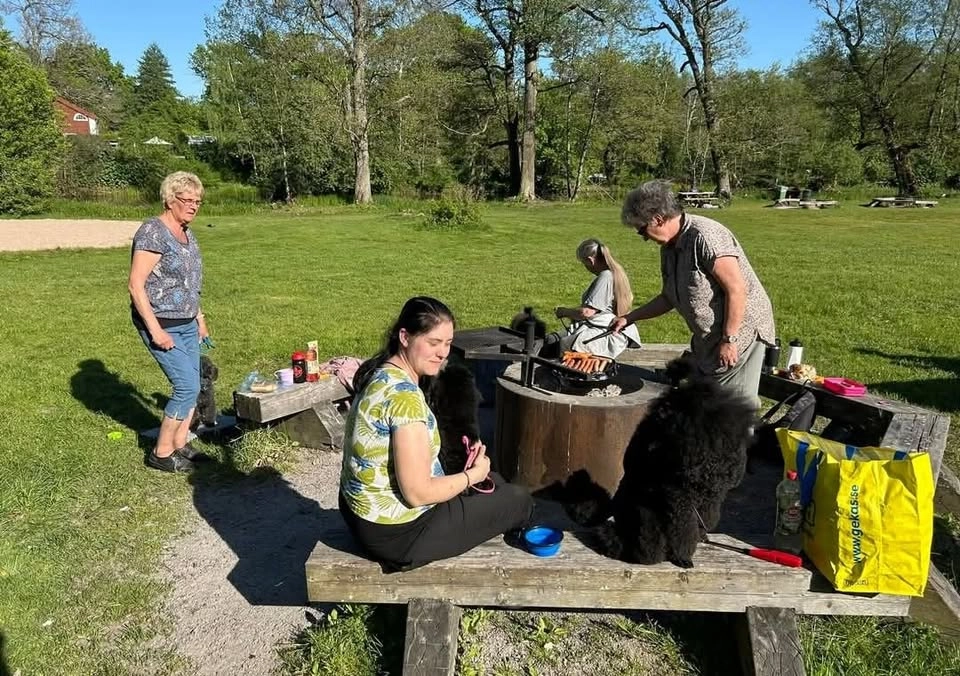 Grillkväll Hästhagen