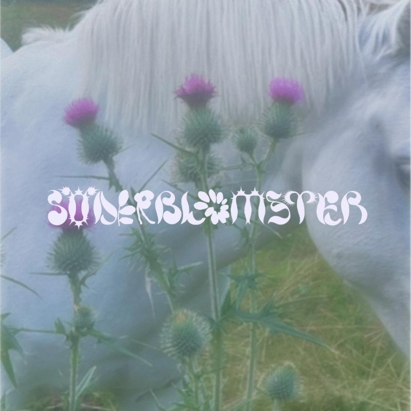 Söderblomster 2026
