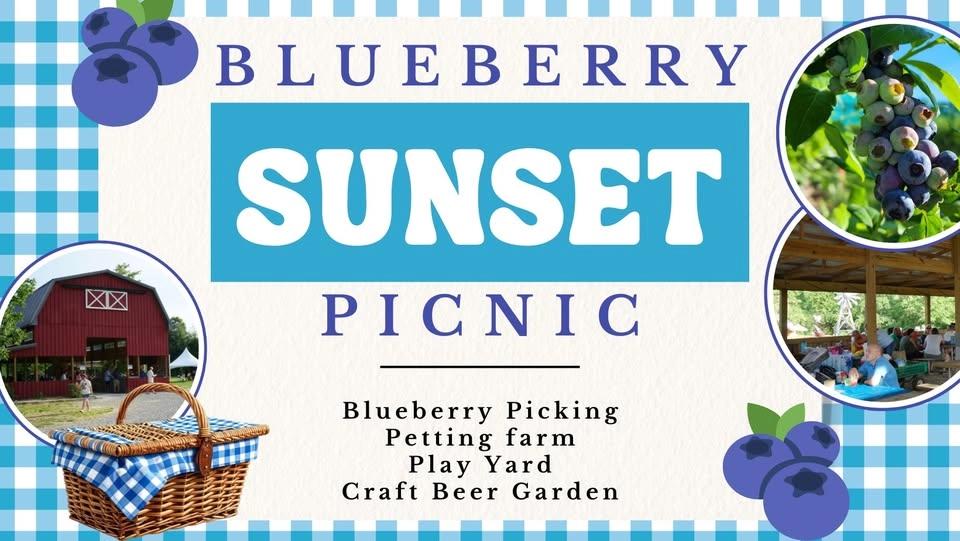 Blueberry Sunset Picnic at Blooms & Berries