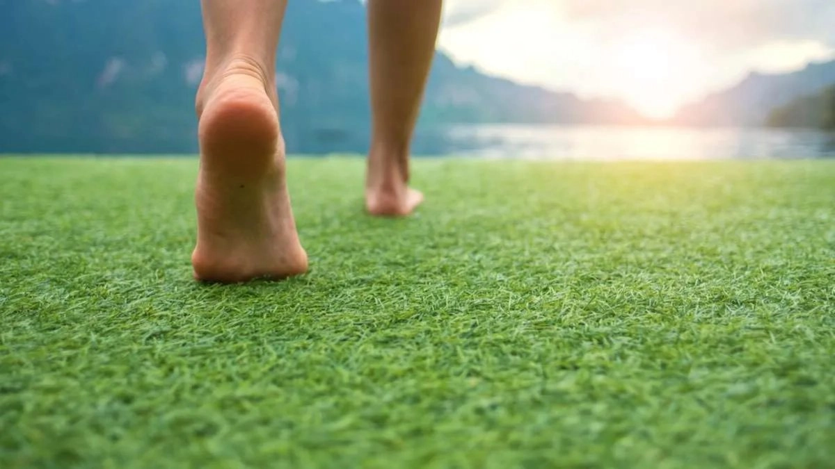 🌿(Earthing) Reduce la inflamación y el estrés conectando con la tierra