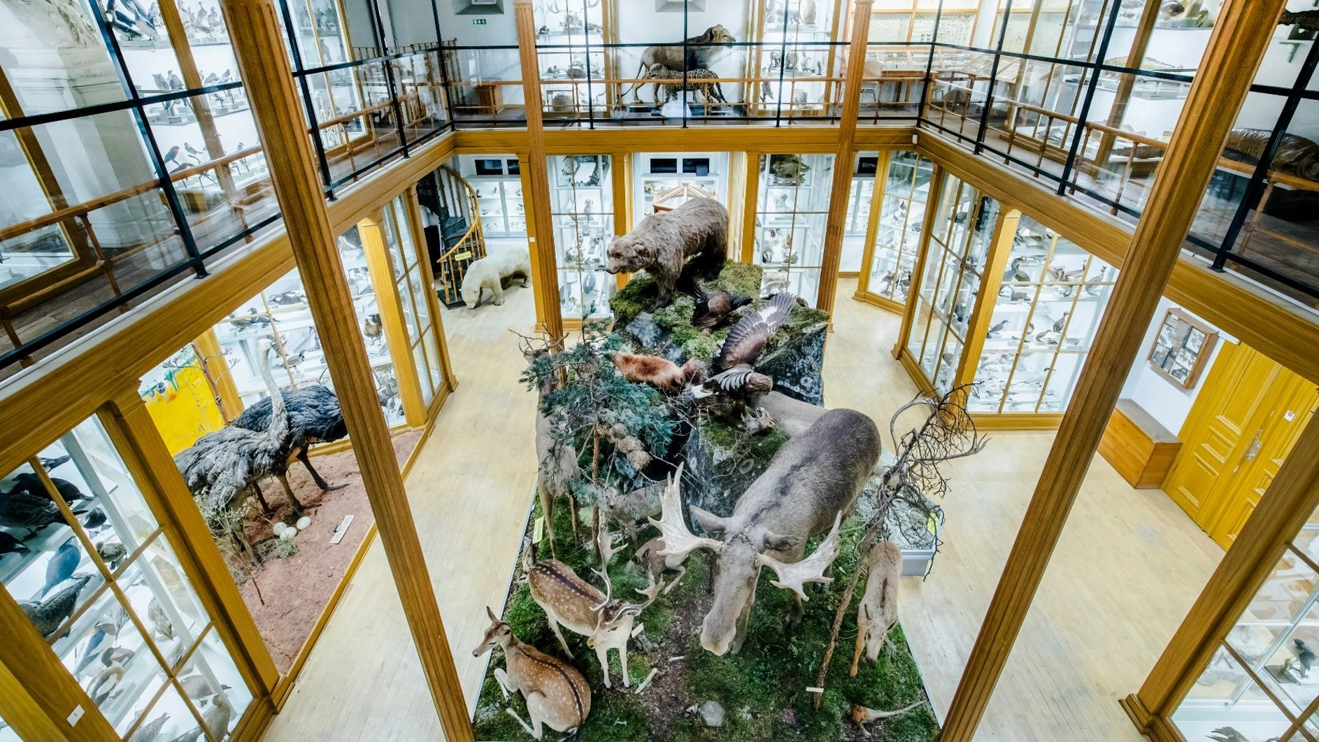 Biologiska museet