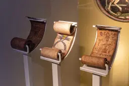 African Expeditions, Asian Ways