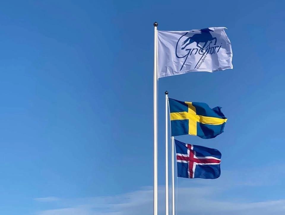 Gnýfari Sommartävling, Nivå 4