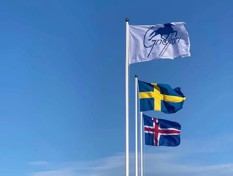 Gnýfari Sommartävling, Nivå 4