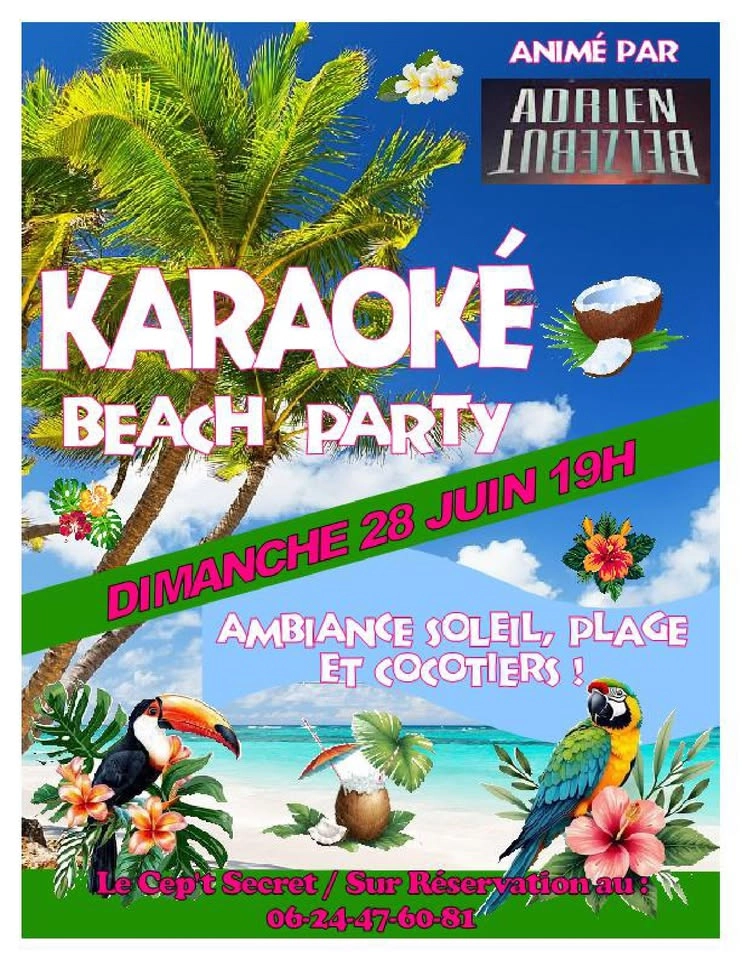Karaoké Beach Party