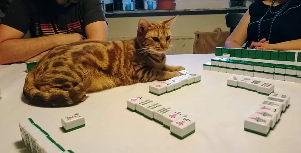 Mahjong MCR - VT2026