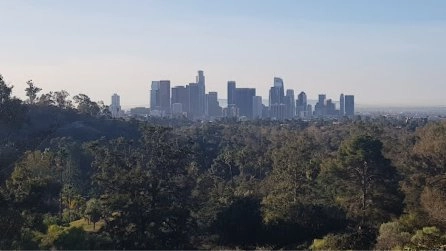 Funtastic Hike Exploring Elysian Park. Moderate Paced!