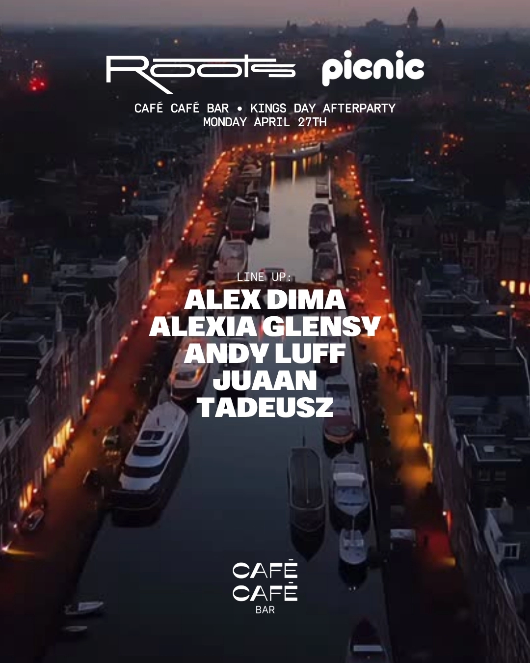 Roots x Picnic Kingsday Afterparty