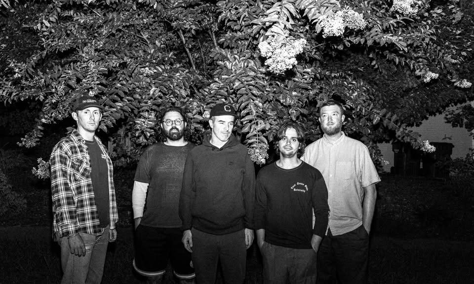 Fiddlehead