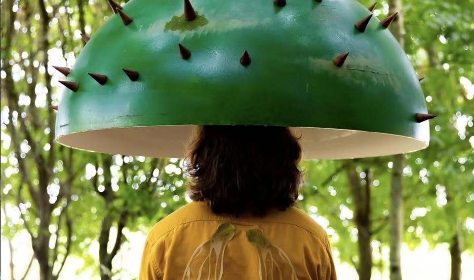 Canopy