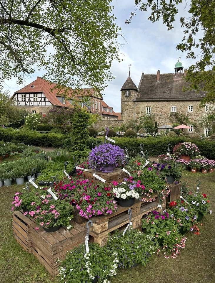 Pflanzentage Remeringhausen 2026