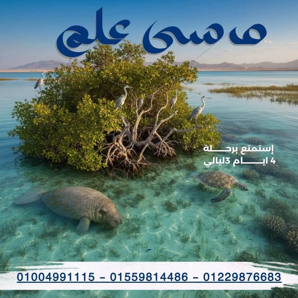 رحلة لمعالم مرسى علم في إجازة 30 يونيو مع #سراديب 🥰🇪🇬