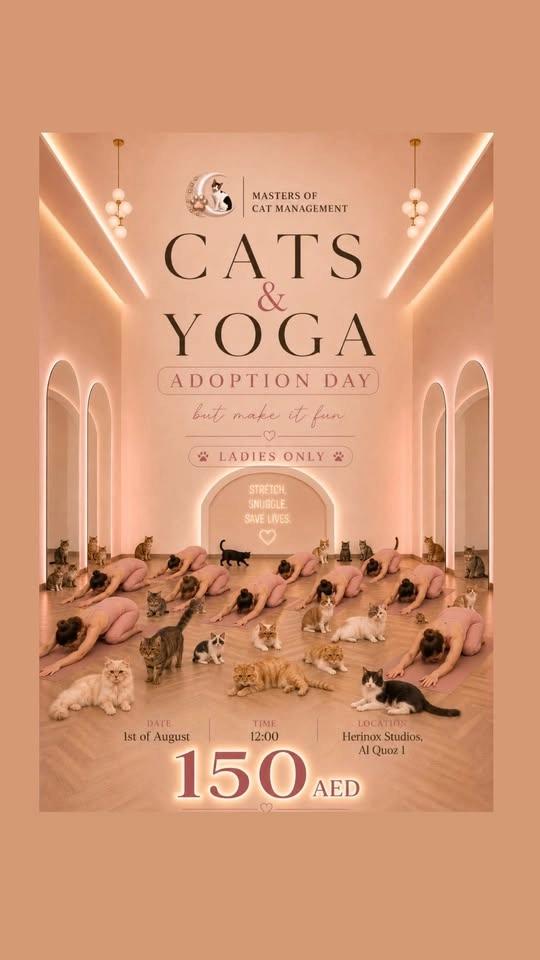 Cats & Yoga 🤍 Adoption Day - But Make It Fun 🐈⬛💕