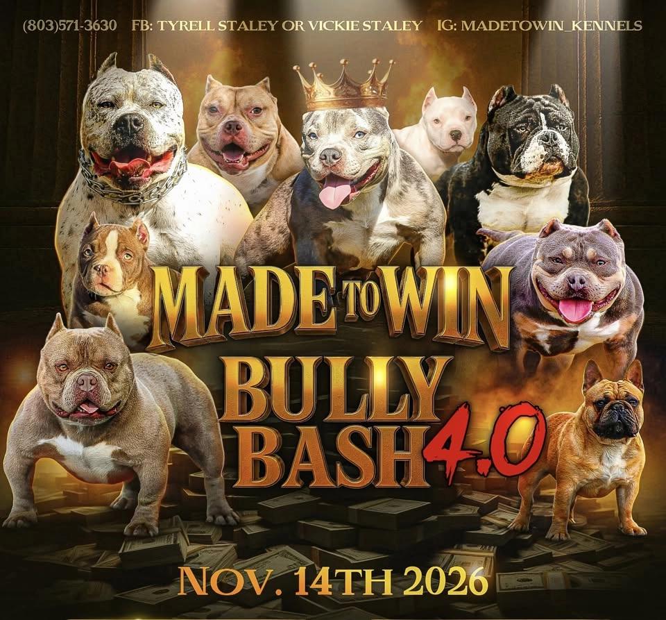 MADE TO WIN BULLY BASH 4.0 🏁
