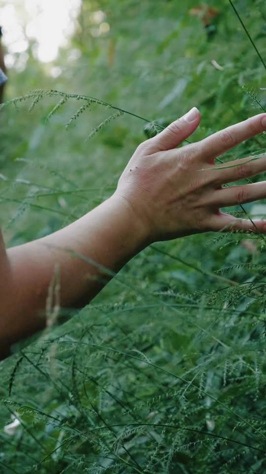 Wellness Series: Forest Bathing