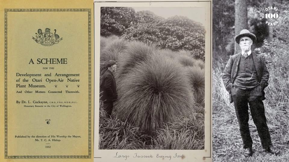 Who was Dr Leonard Cockayne?