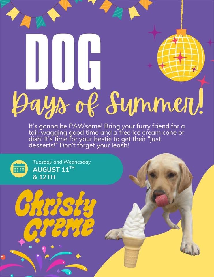 Dog Days of Summer!