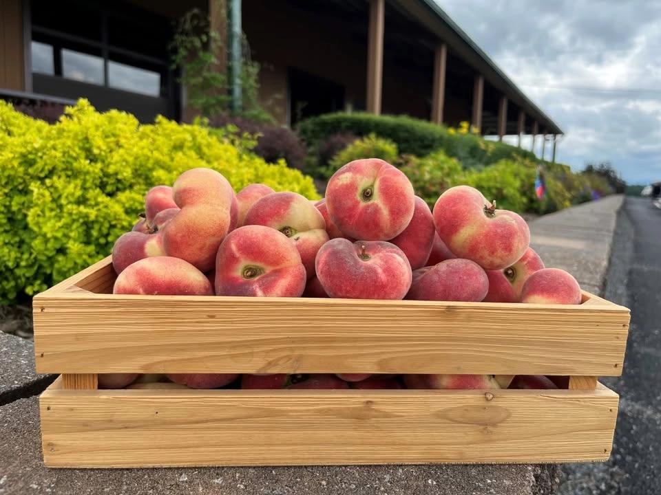 Peach Festival