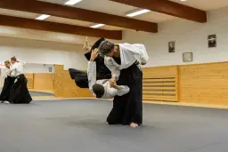 Prova på Aikido!
