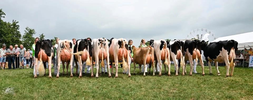 Veekeuring Noord-Friesland