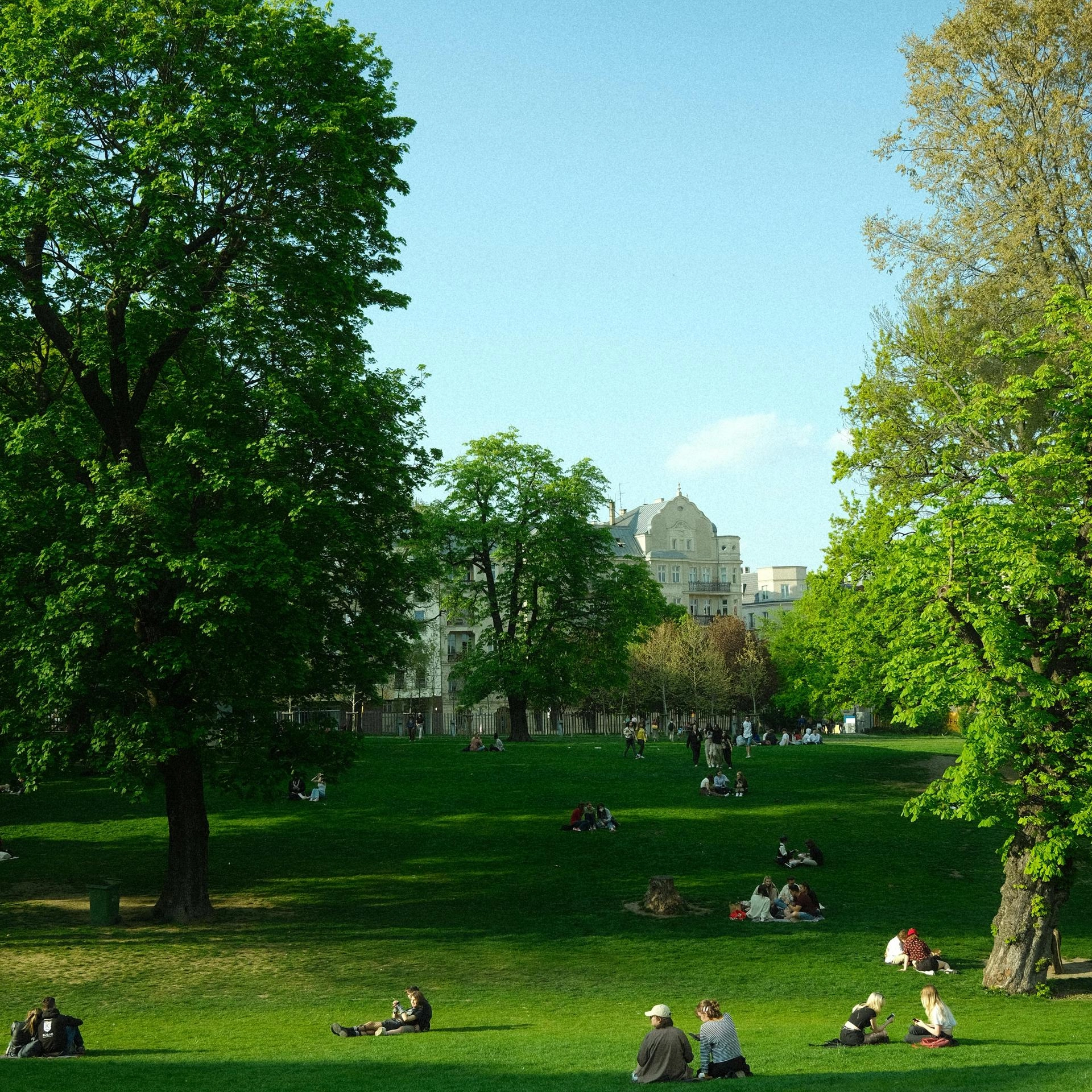 Free | A Gentle Pause in the Park | Slow Movement & Soft Sound