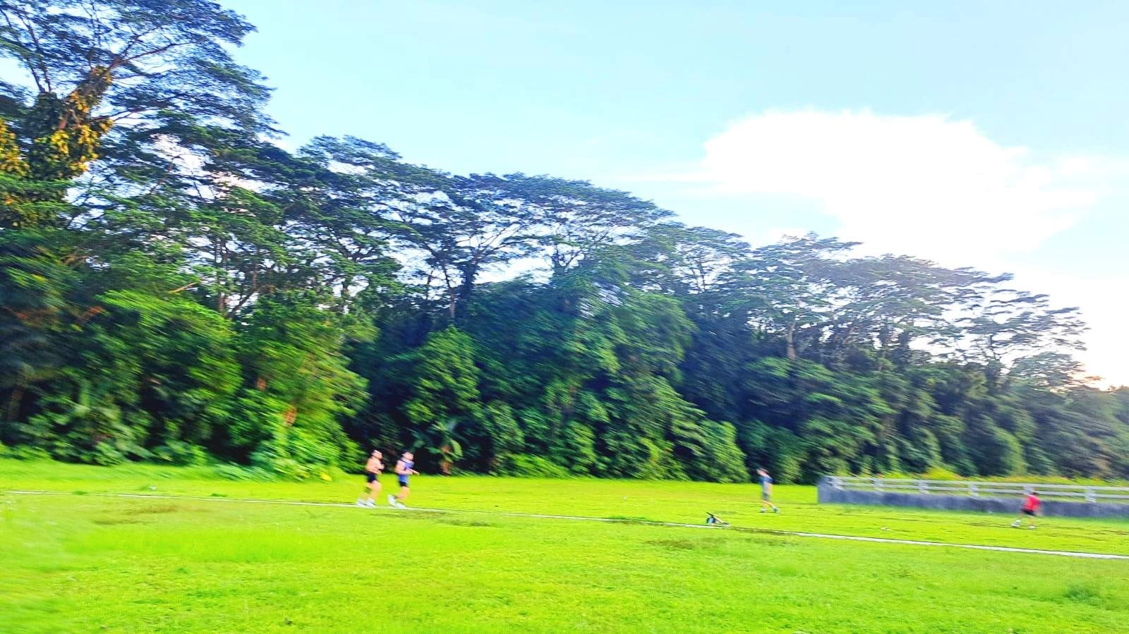 6th Ave to Rifle Range Jalan Jalan 🦋🌈✌️🚶♀️😎